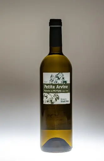 Domaine Gérald Besse-Petite Arvine Martigny